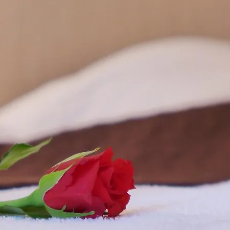 Wrzos & Belvedere Feriested