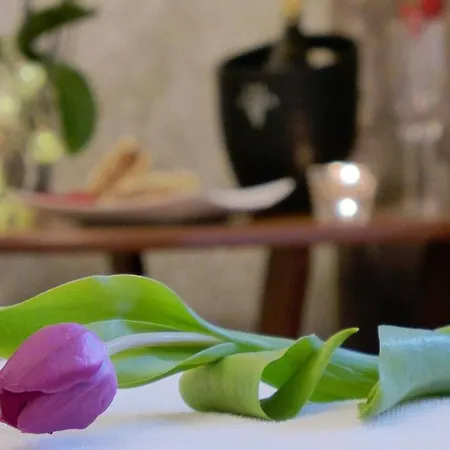 Wrzos & Belvedere Feriested Kudowa-Zdrój