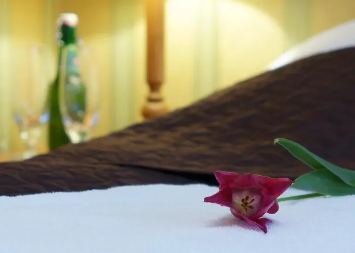 Wrzos & Belvedere Kudowa Zdroj