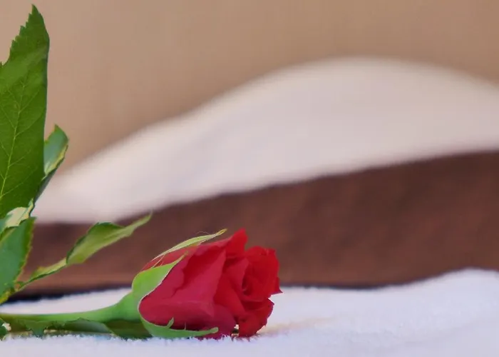 Wrzos & Belvedere Resort