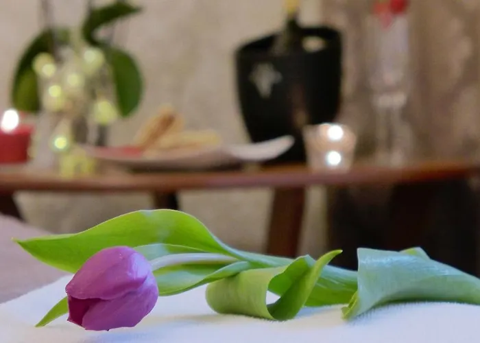 Wrzos & Belvedere Resort Kudowa Zdroj